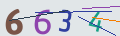 verifycode